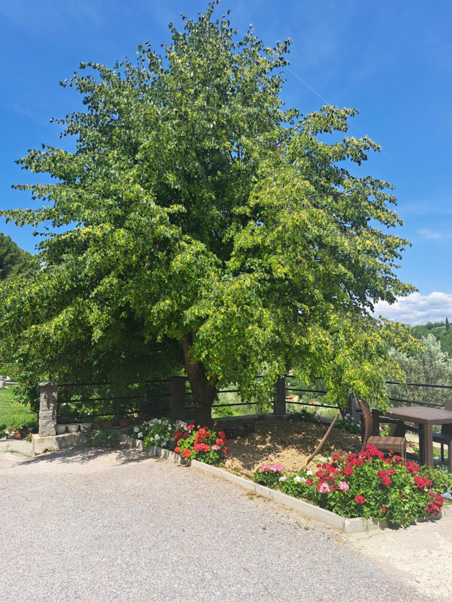 Apartma Solina Portorož Exterior foto